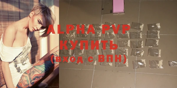 сатива Арсеньев