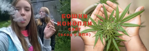 дживик Аркадак