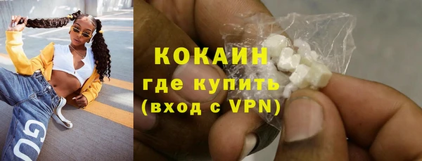 сатива Арсеньев