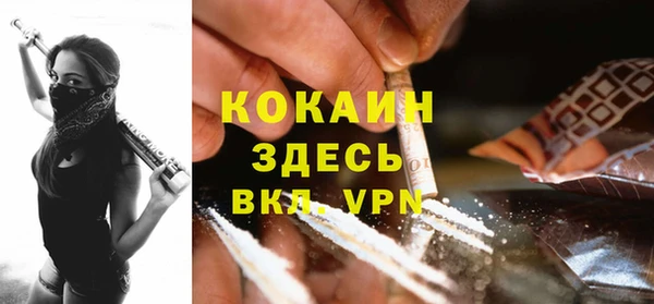 сатива Арсеньев