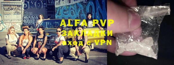 сатива Арсеньев