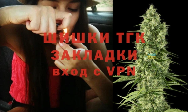 сатива Арсеньев