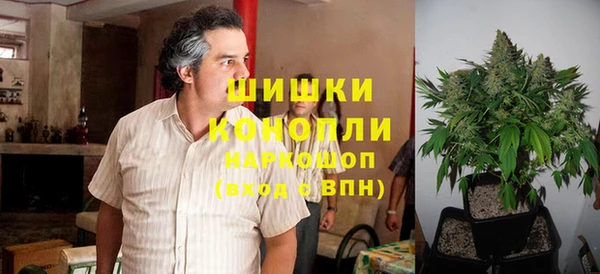 сатива Арсеньев